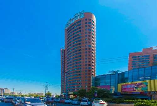 镇海区寒假篮球培训哪家好