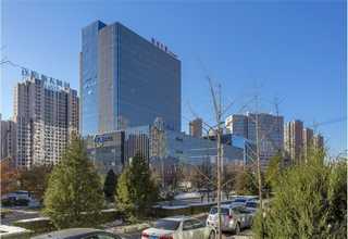 河北特殊柔性轴承F14