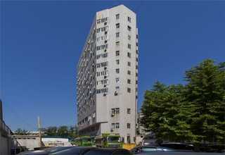 湛江城市绿化养护报价