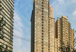 如何SVG生产厂家